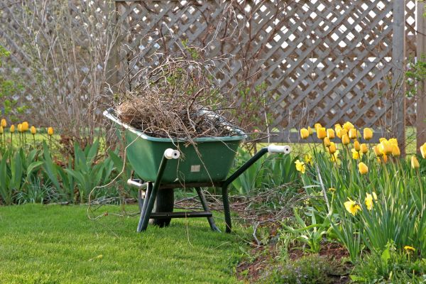 Flower Bed Cleanup Service in Merrillville
