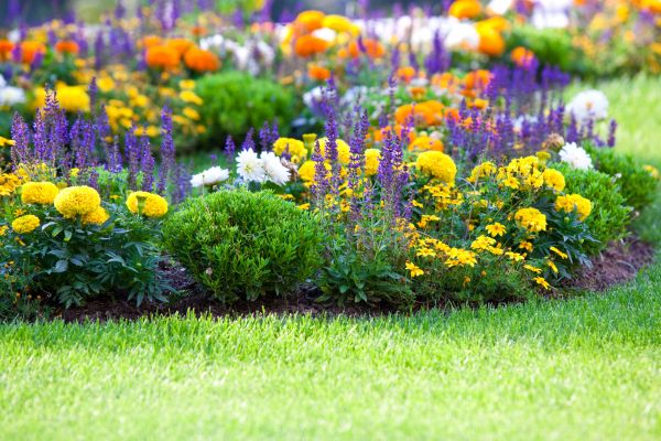 Flower Bed Maintenance in Merrillville