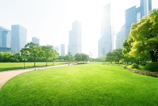 Commercial Landscape Maintenance in Merrillville