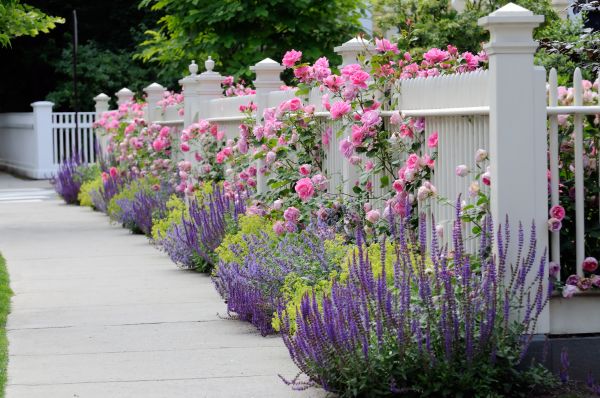 Garden Handyman Service in Merrillville