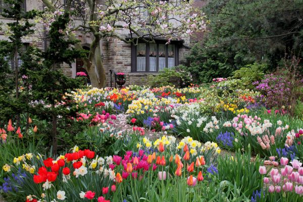 Garden Maintenance Service in Merrillville