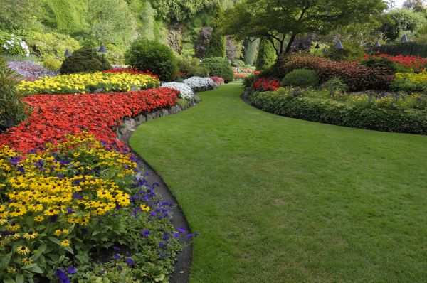 Landscaping Maintenance in Merrillville