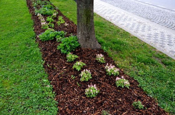 Mulch Replacement Service in Merrillville