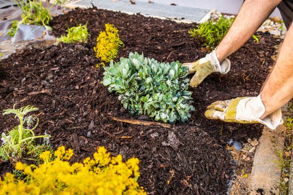 Weeding And Mulching in Merrillville