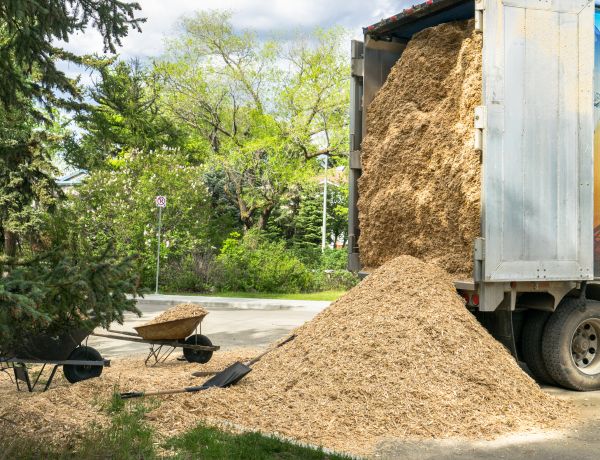 Wood Chips Delivery in Merrillville