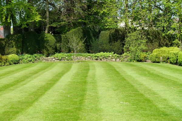 Lawn Renovation in Merrillville