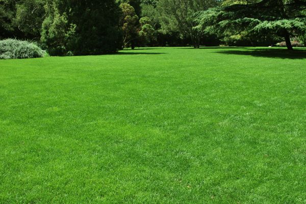 Lawn Landscaping in Merrillville