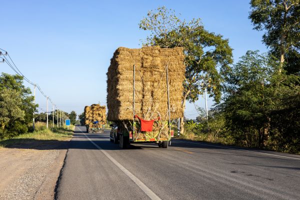 Pine Straw Delivery in Merrillville