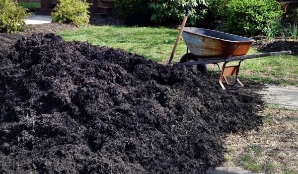 Black Mulch Delivery in Merrillville