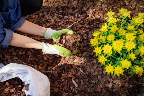 Garden Mulching in Merrillville