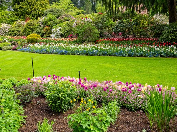 Residential Landscape Design in Merrillville