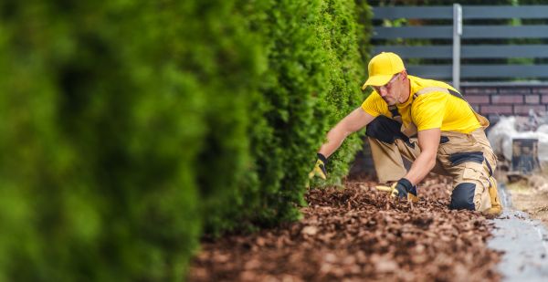Cypress Mulch Installation in Merrillville