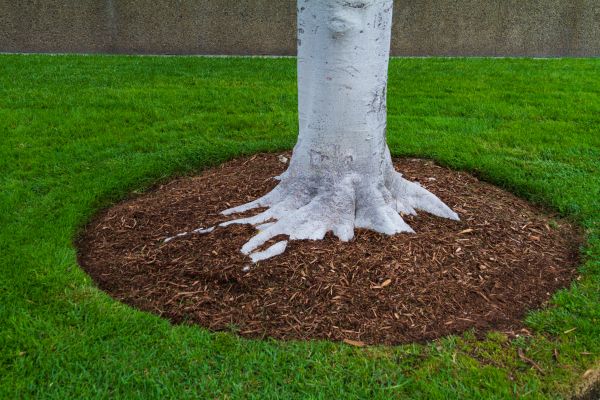 Brown Mulch Installation in Merrillville