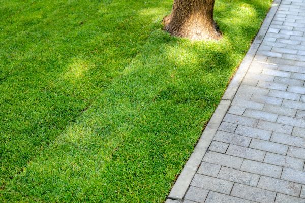 Border Stone Installation in Merrillville