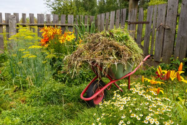 Garden Cleanup Service in Merrillville