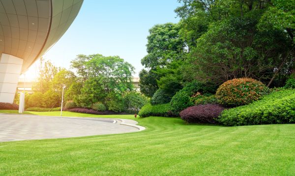 Business Landscape Design in Merrillville