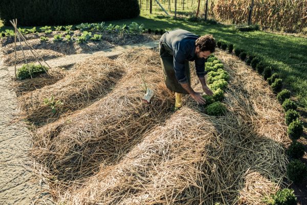 Straw Mulching Service in Merrillville