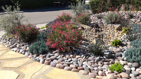 Xeriscape Landscaping in Merrillville