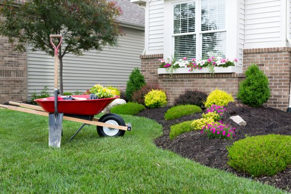 Tree And Shrub Planting in Merrillville