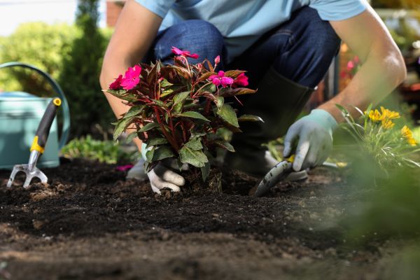 Plant Installation in Merrillville