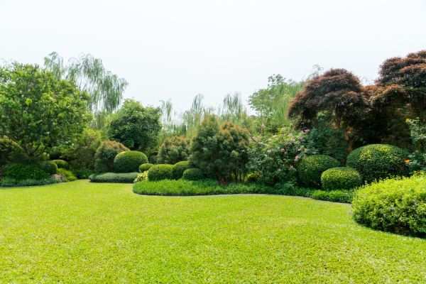 Tree Landscaping in Merrillville
