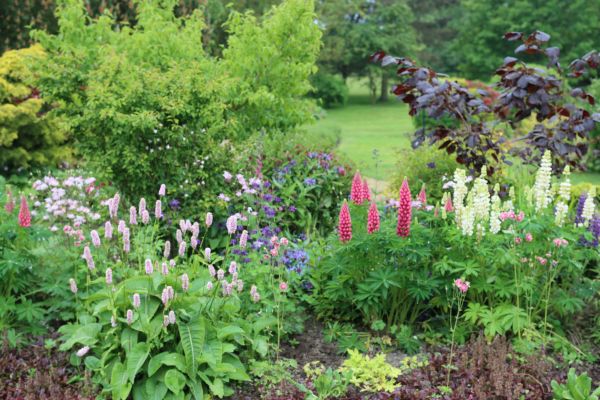 Flower Bed Planting in Merrillville