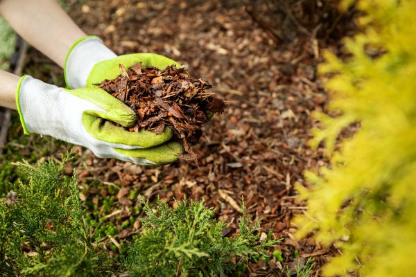 Garden Mulch Delivery in Merrillville