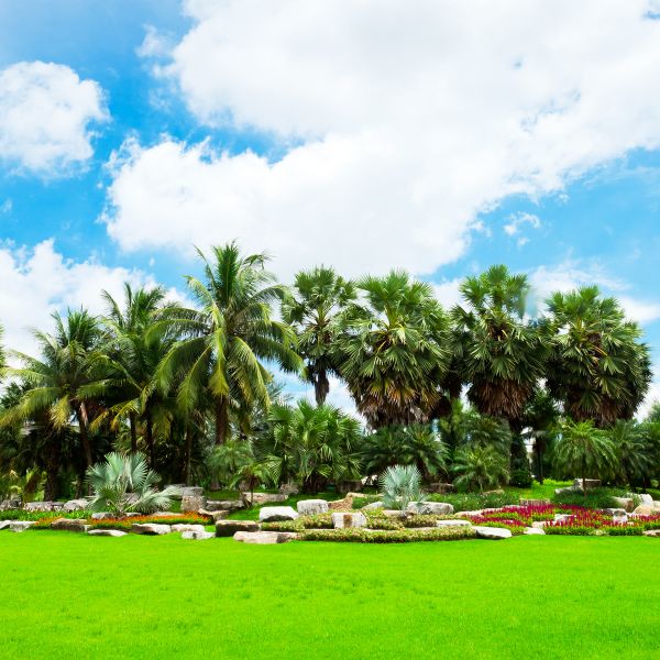 Tropical Landscaping in Merrillville