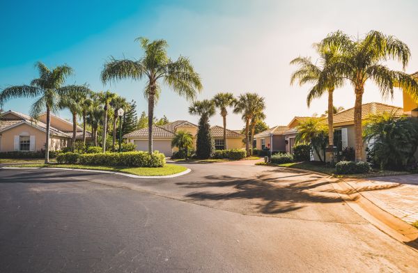 Palm Tree Landscaping in Merrillville