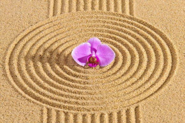 Sand Garden Landscaping in Merrillville