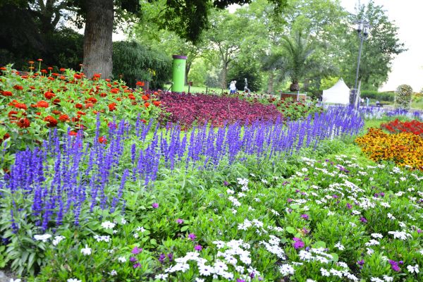 Perennials Planting in Merrillville