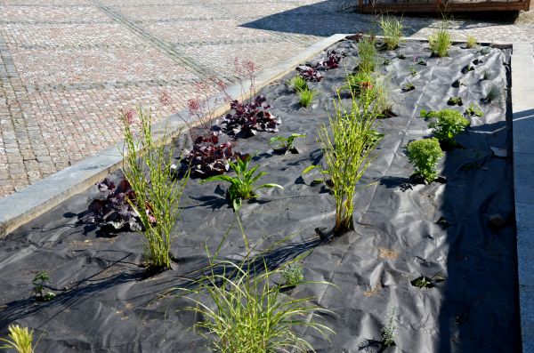 Landscape Fabric Installation in Merrillville
