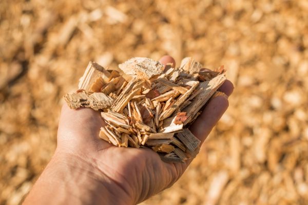 Wood Chips Spreading in Merrillville