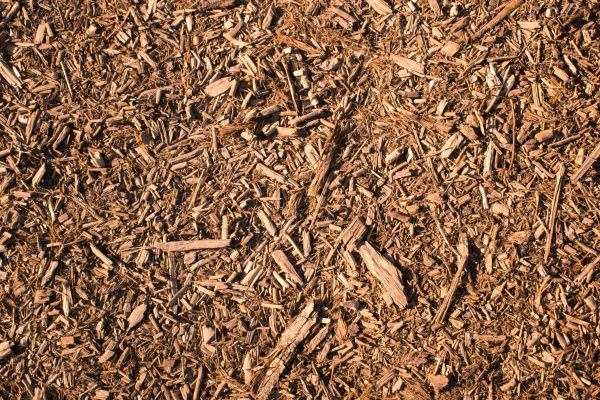 Wood Chips Removal in Merrillville