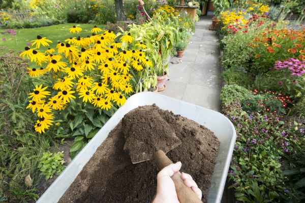 Topsoil Replacement in Merrillville