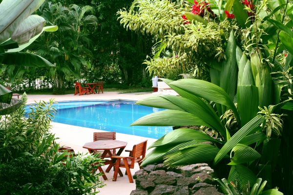 Pool Area Landscaping in Merrillville