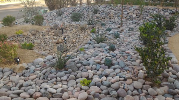 Yard Xeriscaping in Merrillville