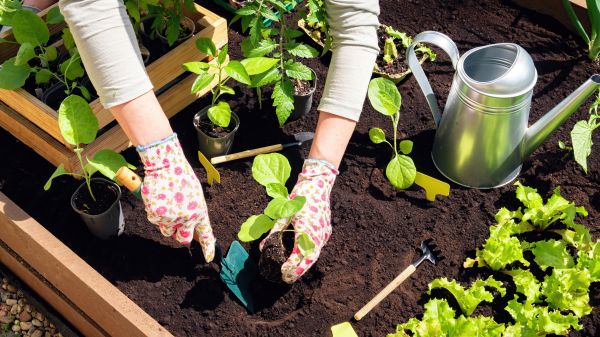 Garden Bed Installation in Merrillville