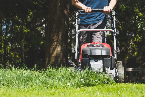 Garden Trimming Service in Merrillville