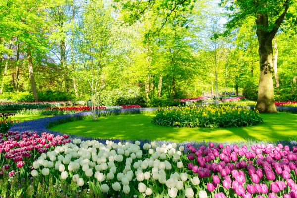 Flower Landscaping in Merrillville