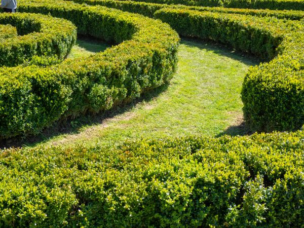 Bush Landscaping in Merrillville