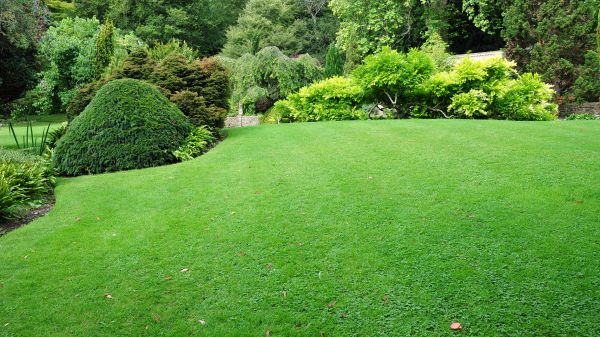 Commercial Landscape Design in Merrillville
