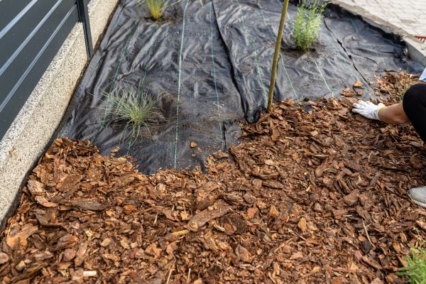 Pine Bark Spreading in Merrillville