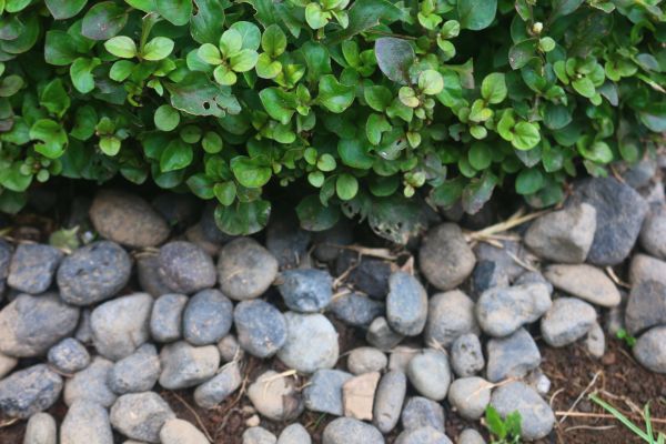 River Stone Installation in Merrillville
