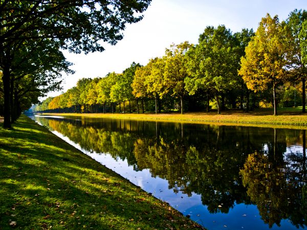 Bank Landscaping in Merrillville