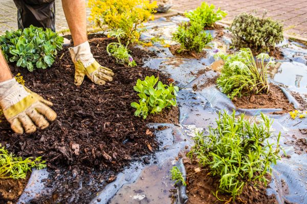 Mulch Fabric Installation in Merrillville
