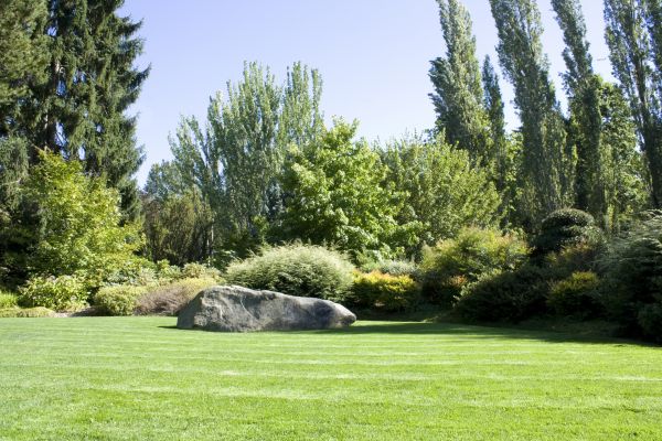Yard Enlargement in Merrillville