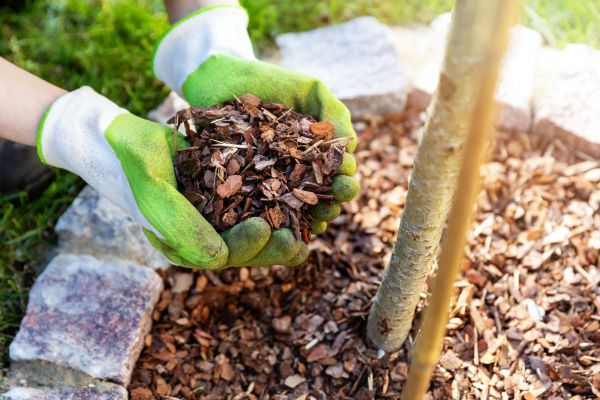 Tree Bark Delivery in Merrillville