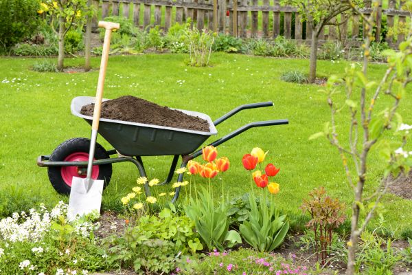 Spring Yard Renovation in Merrillville