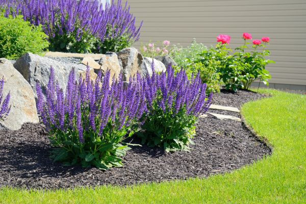 Landscape Planting Service in Merrillville
